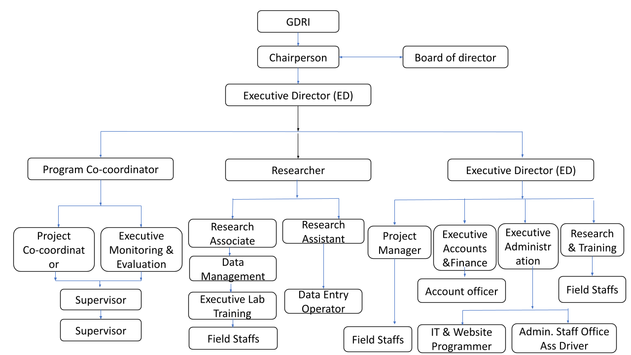 GDRI-organogram